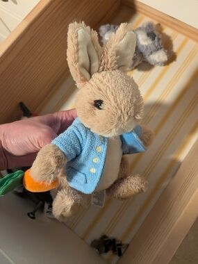 Peter Rabbit Bunny in Light Blue Coat with Orange Carrot